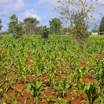 The Benefits of Going for a Site Visit When It’s Raining