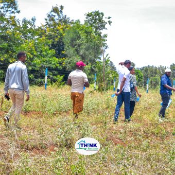 Before Purchasing Land: 10 Vital Questions to Ask Your Realtor