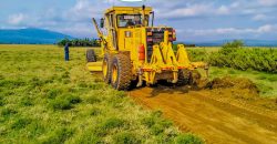 Naivasha breeze phase 3