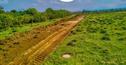 Naivasha breeze phase 3