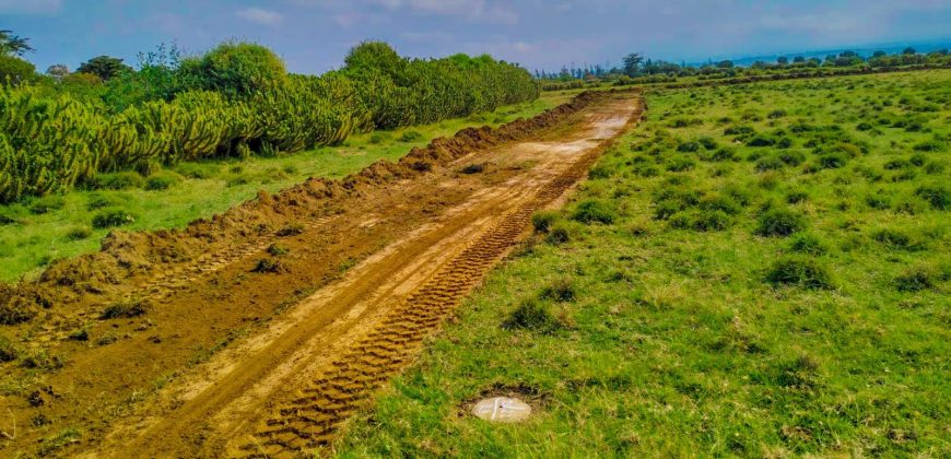 Naivasha breeze phase 3