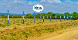 Naivasha breeze phase 3
