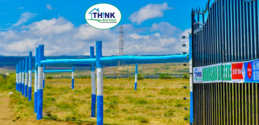 Naivasha breeze phase 3