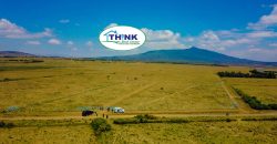Naivasha breeze phase 3