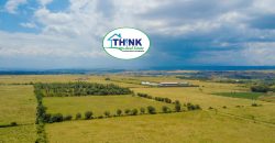 Naivasha breeze phase 3