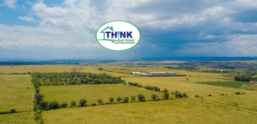 Naivasha breeze phase 3