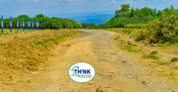 Naivasha breeze phase 3