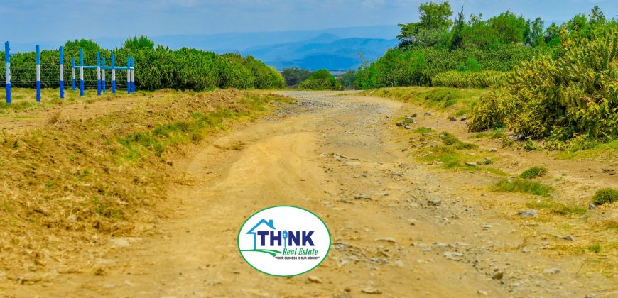 Naivasha breeze phase 3