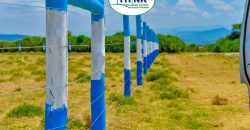 Naivasha breeze phase 3