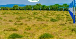 Naivasha breeze phase 3