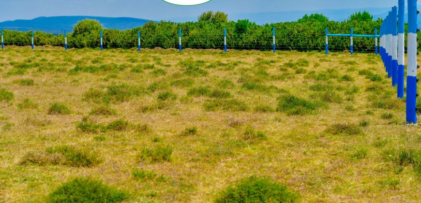 Naivasha breeze phase 3