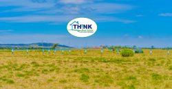 Naivasha breeze phase 3