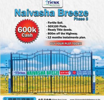 Naivasha breeze phase 3