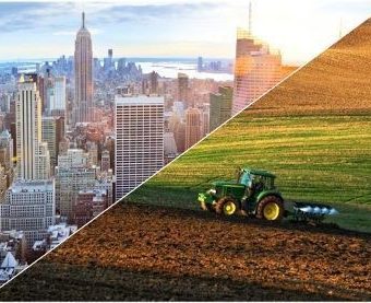 🏡 Urban vs. Rural Land Investment in Kenya — Which Is the Better Choice?