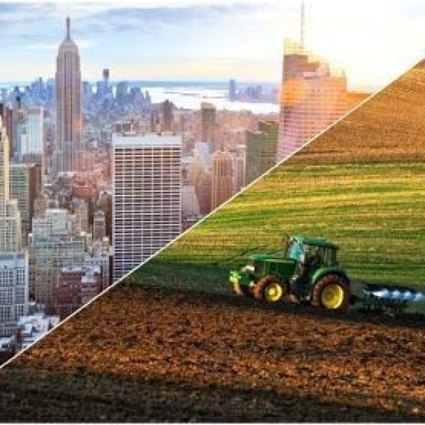 🏡 Urban vs. Rural Land Investment in Kenya — Which Is the Better Choice?