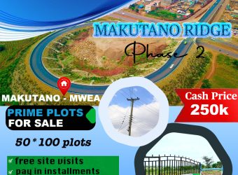 Makutano Ridge phase 2