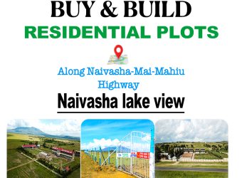 NAIVASHA LAKE VIEW