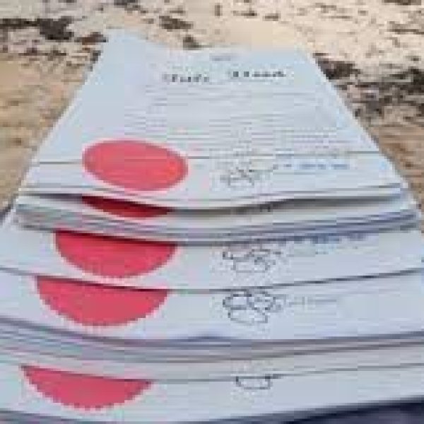 Mother Title vs Individual Title Deed: Which One Should You Go For in Kenya? (2025 Guide)