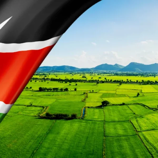 A Foreigner’s Guide to Buying Land in Kenya — Deep, Practical, and Up-to-date (2025)