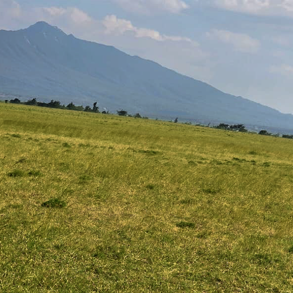 Why Naivasha Is the Ideal Place to Invest in 2026