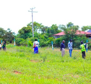 Zuri Gardens Phase 2