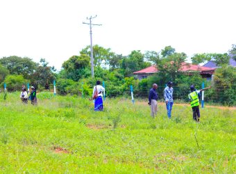 Zuri Gardens Phase 2