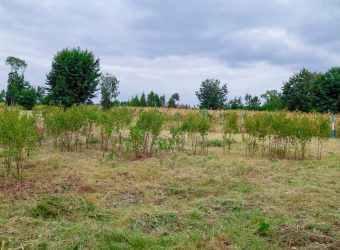 ZAWADI GARDENS PHASE 1