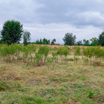 ZAWADI GARDENS PHASE 1