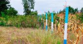 Serene Gardens Phs 2