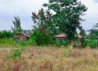 Zuri Garden Phase 1