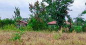 Zuri Garden Phase 1