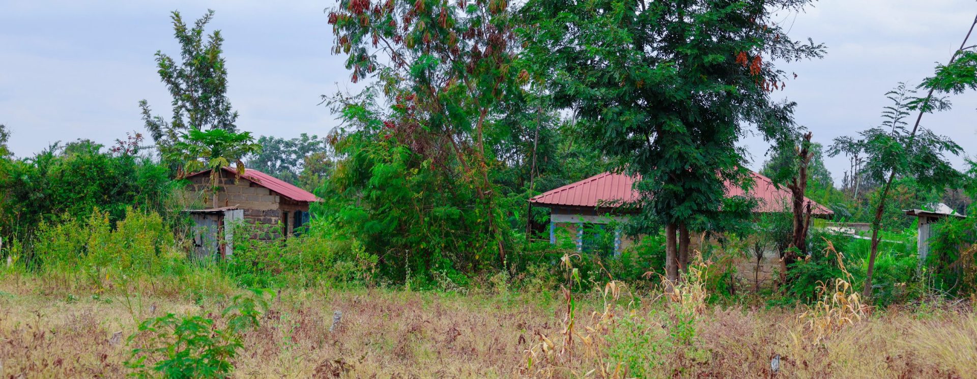 Zuri Garden Phase 1
