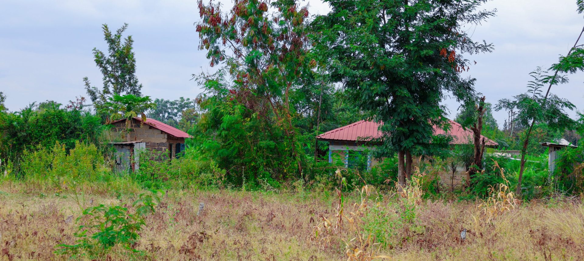 Zuri Garden Phase 1