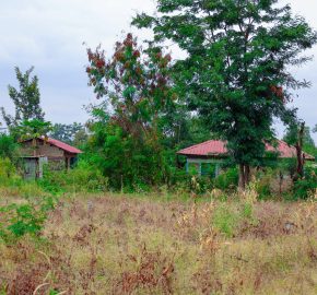 Zuri Garden Phase 1
