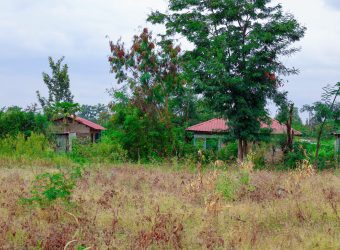 Zuri Garden Phase 1