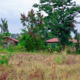 Zuri Garden Phase 1