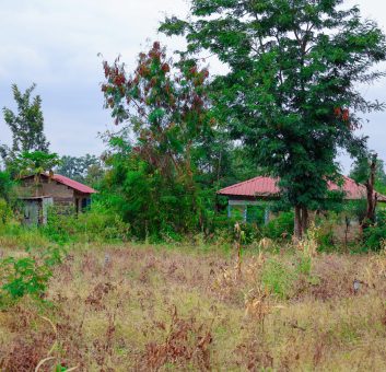 Zuri Garden Phase 1